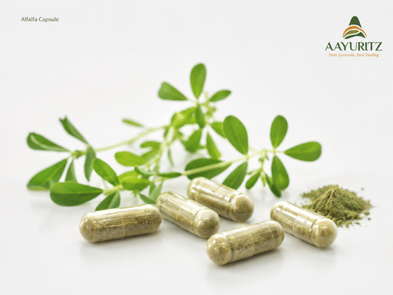 Alfalfa Capsule