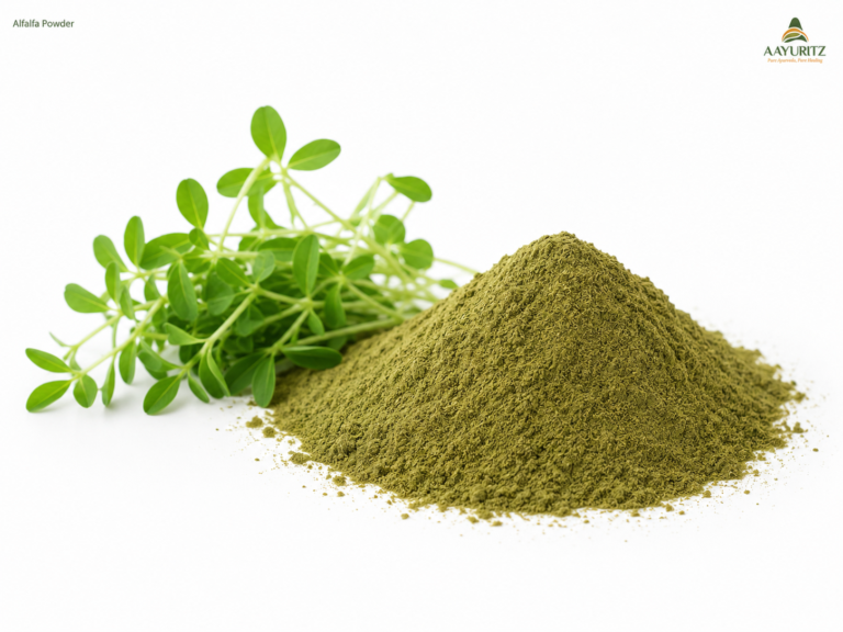 Alfalfa Powder