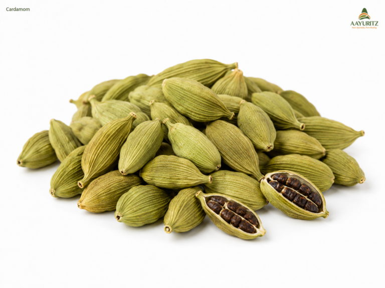 Cardamom
