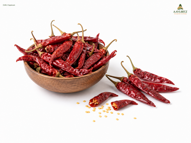 Chilli / Capsicum