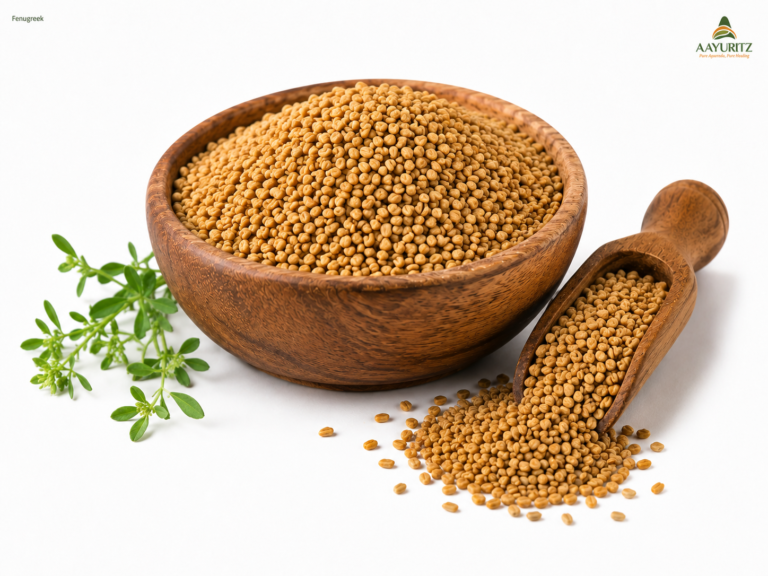 Fenugreek