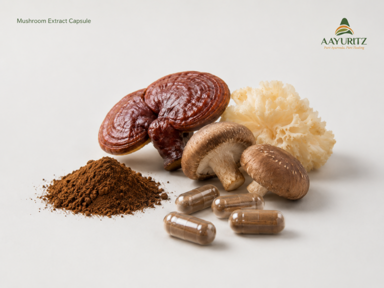 Mushroom Extract Capsule