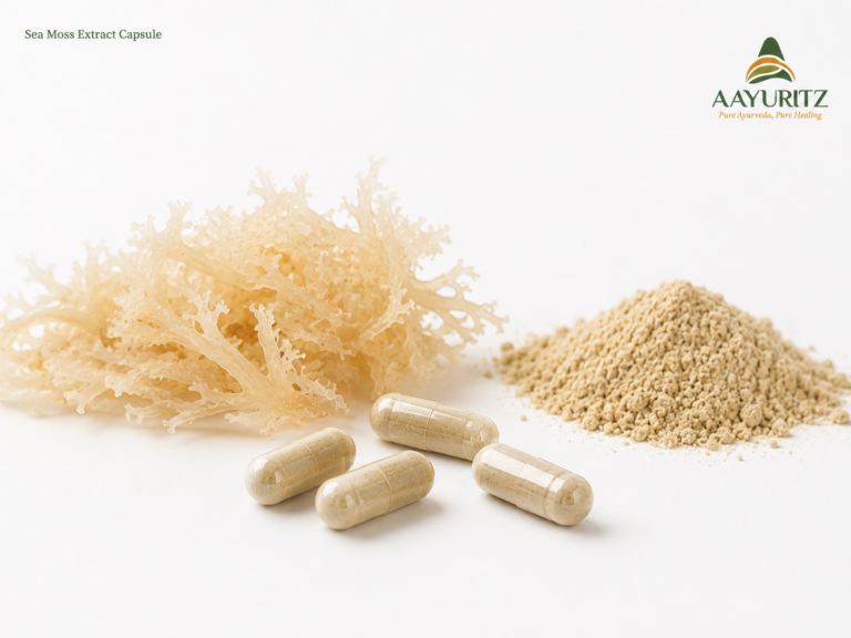 Sea Moss Extract Capsule
