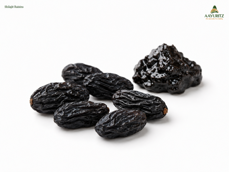 Shilajit Raisins
