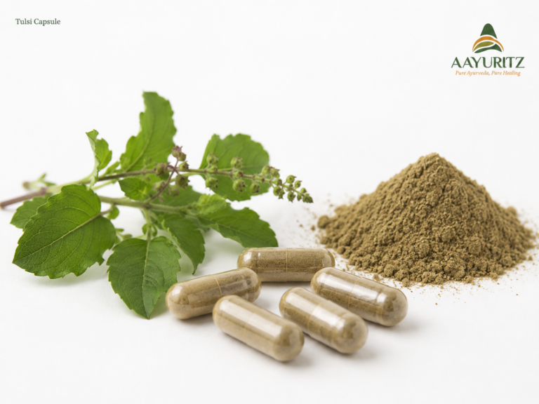 Tulsi Capsule